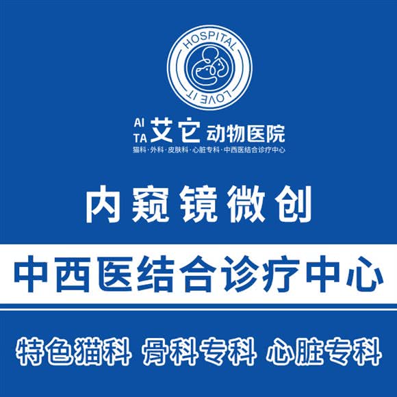 艾它动物医院· 猫科中心· 骨科中心· 心脏专科:郑州市新郑市