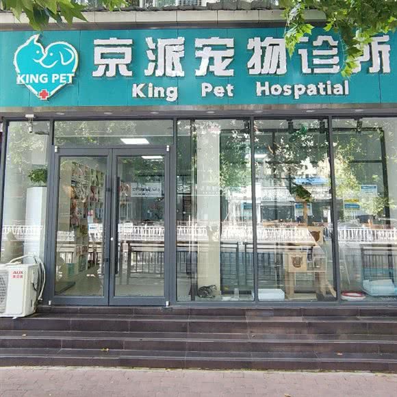 京派宠物诊所:郑州市新郑市