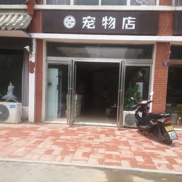 宠物店:郑州市登封市