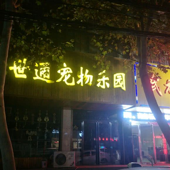 世通宠物犬猫寄售用品洗护:郑州市登封市