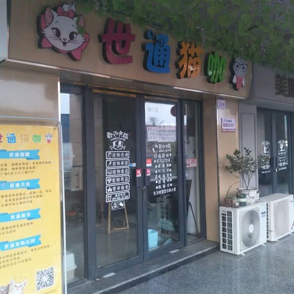 世通猫咖:郑州市登封市