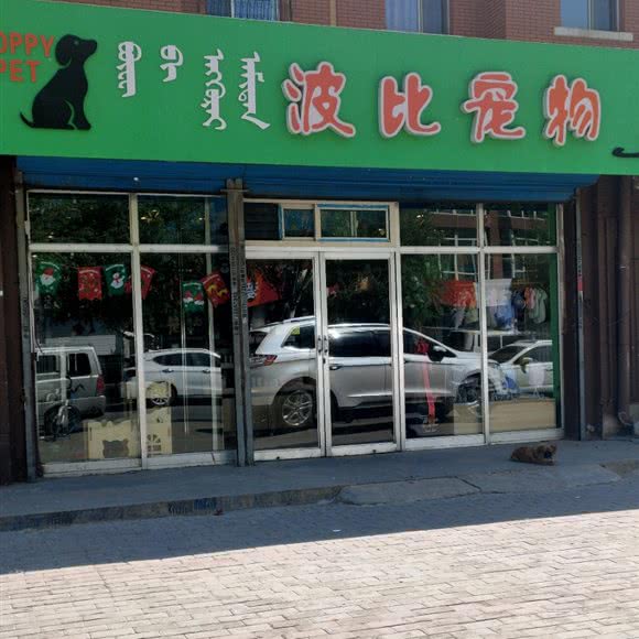 波比宠物:包头市青山区松石雅居附近