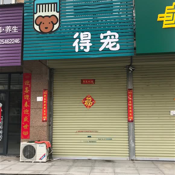 得宠:开封市龙亭区