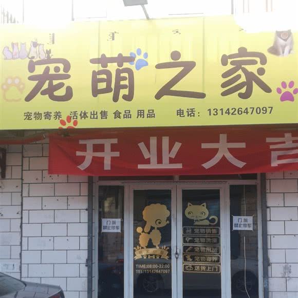 宠萌之家:包头市青山区富强路美食街附近