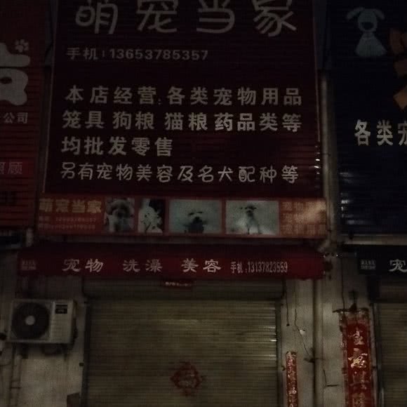 萌宠当家:开封市顺河回族区
