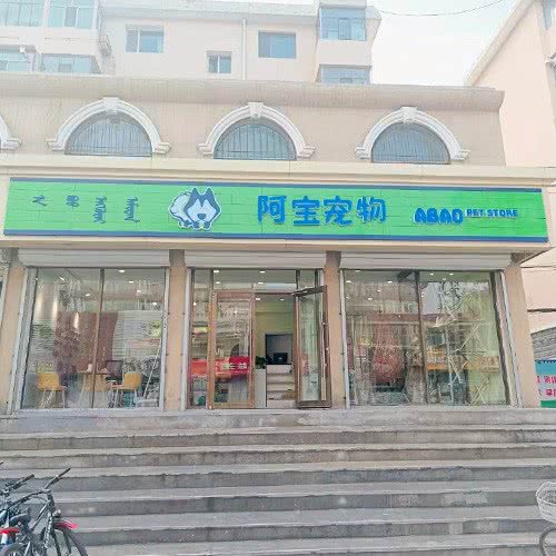 阿宝宠物(少先店):包头市青山区富强路美食街附近