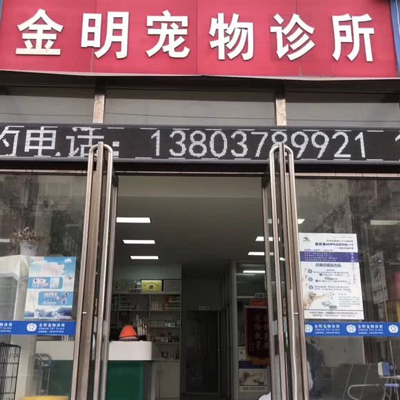 金明宠物医院:开封市鼓楼区