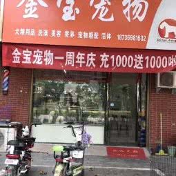 金宝宠物:开封市通许县