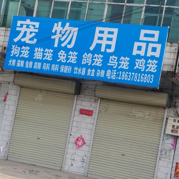 宠物用品:开封市尉氏县