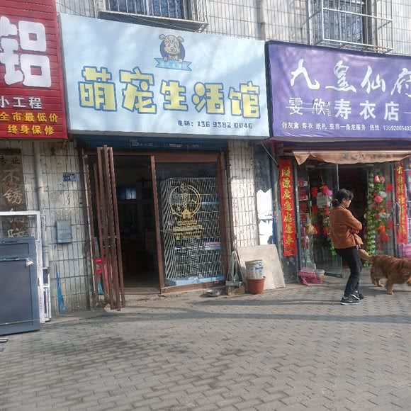 萌宠生活馆:洛阳市老城区