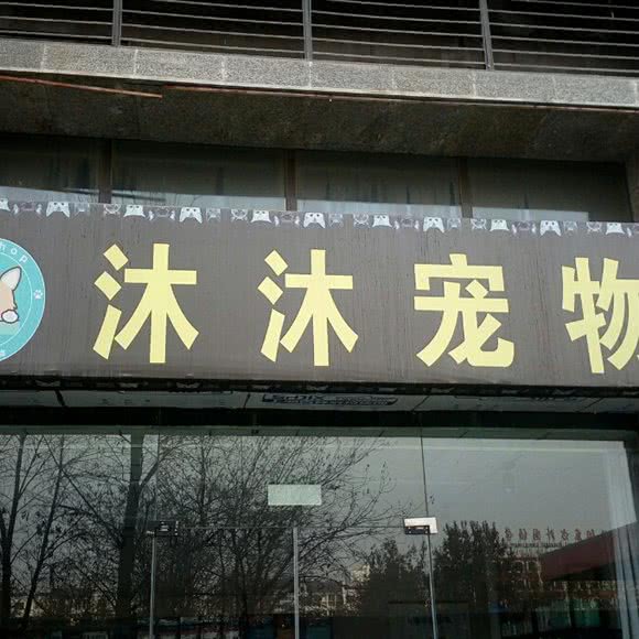 沐沐宠物:洛阳市瀍河回族区