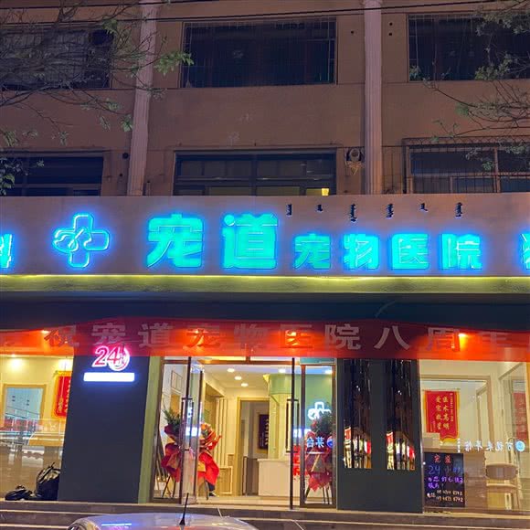 宠道宠物医院总院 24h:包头市青山区民族东路附近