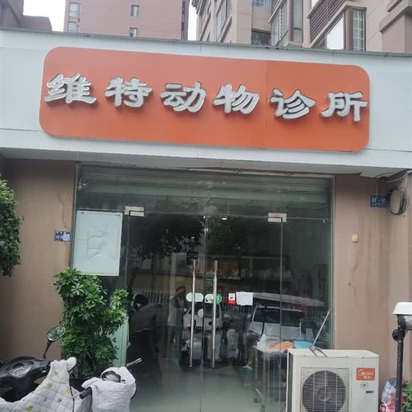 维特动物诊所:洛阳市涧西区