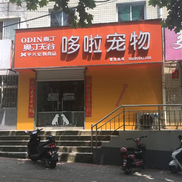 哆啦宠物:洛阳市孟津区
