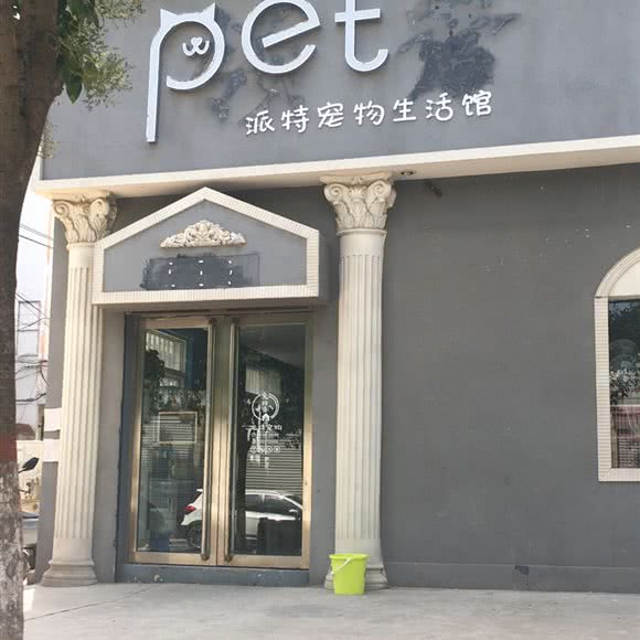 派特宠物生活馆(八一路店):洛阳市孟津区