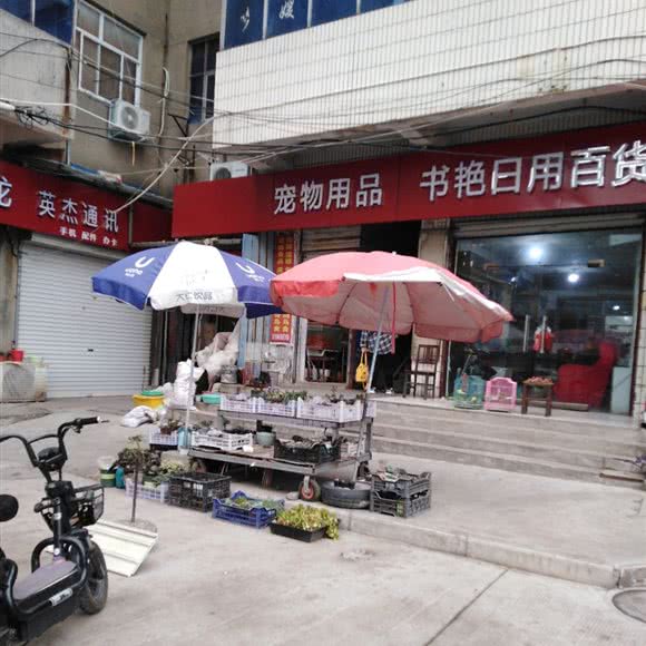 宠物用品:洛阳市孟津区