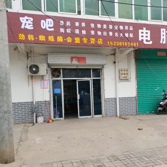 宠吧:洛阳市孟津区