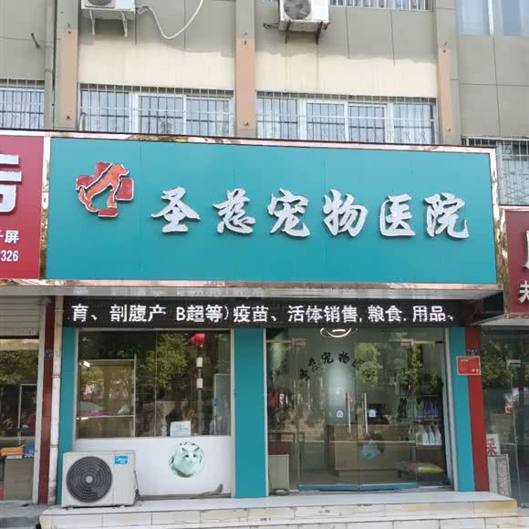 圣慈宠物医院:洛阳市新安县