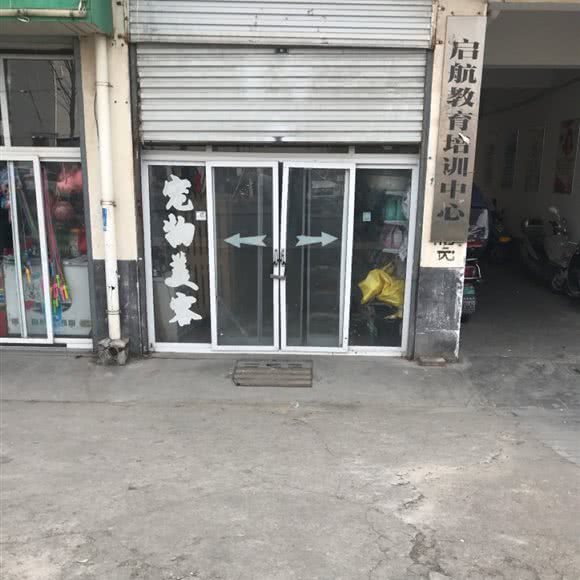 宠物美容:洛阳市栾川县