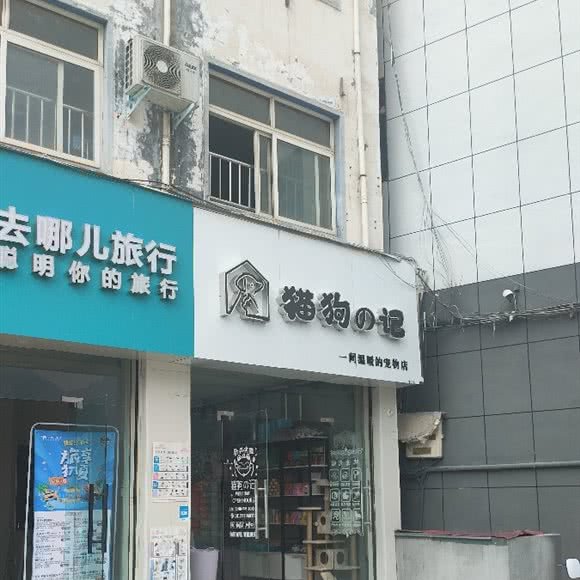 猫狗の记:洛阳市栾川县