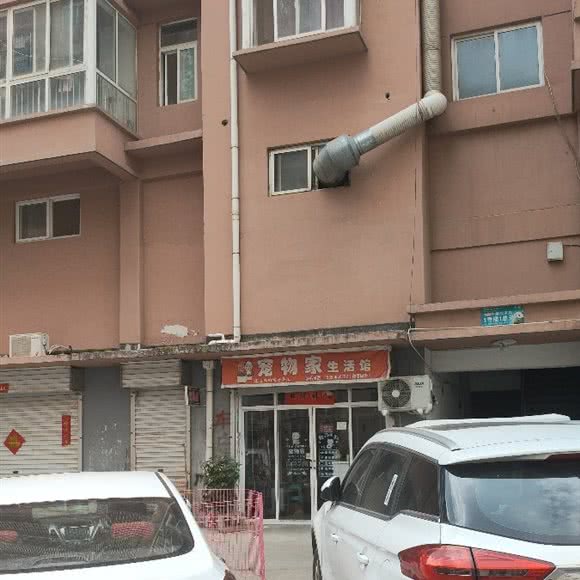 宠物家生活馆:洛阳市嵩县