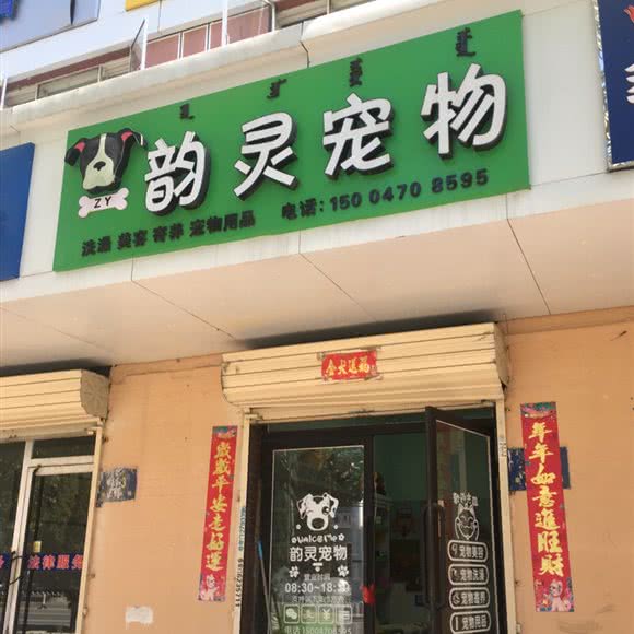 韵灵宠物:包头市青山区大连开发区附近
