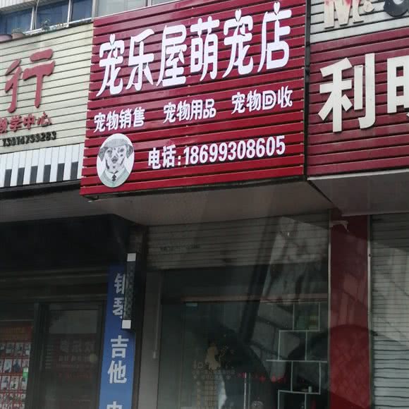 宠乐屋萌宠店:洛阳市嵩县