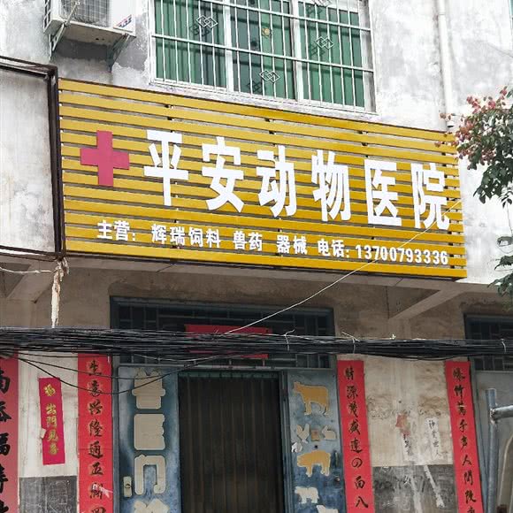平安动物医院:洛阳市嵩县