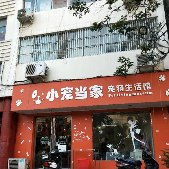 萌小宠宠物狗生活馆:洛阳市汝阳县