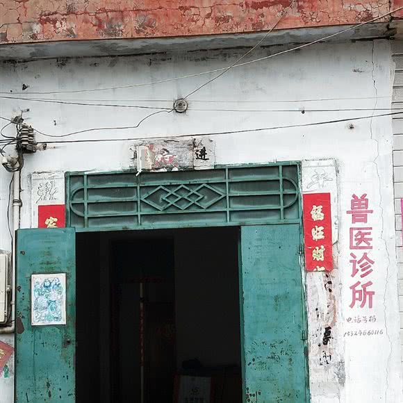 兽医诊所:洛阳市汝阳县