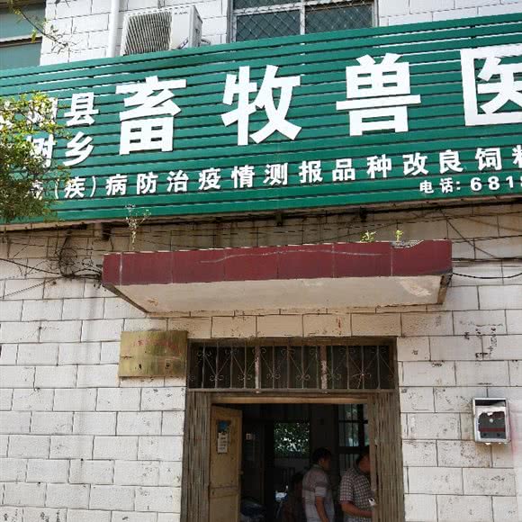 汝阳县畜牧兽医站:洛阳市汝阳县