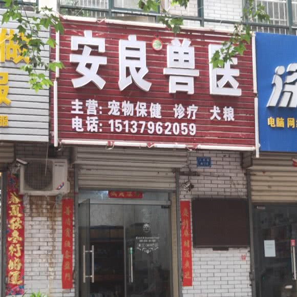 安良兽医:洛阳市汝阳县