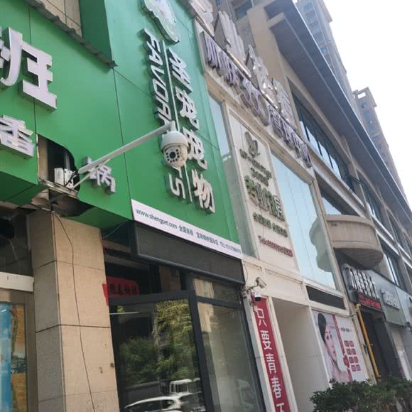 圣宠宠物店(宜阳县锦桥国际店):洛阳市宜阳县