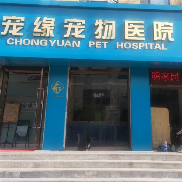 宠缘宠物医院:包头市青山区大连开发区附近
