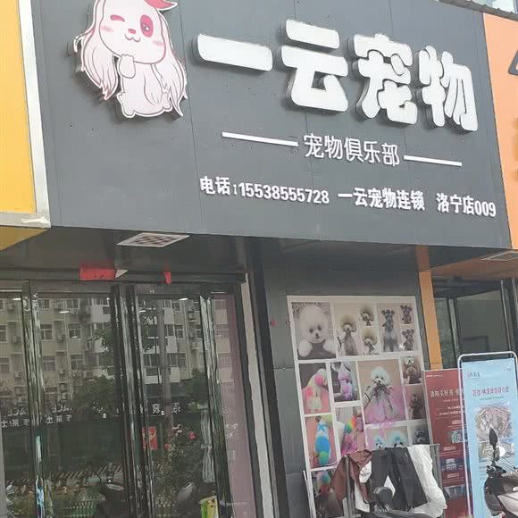 一云宠物俱乐部:洛阳市洛宁县