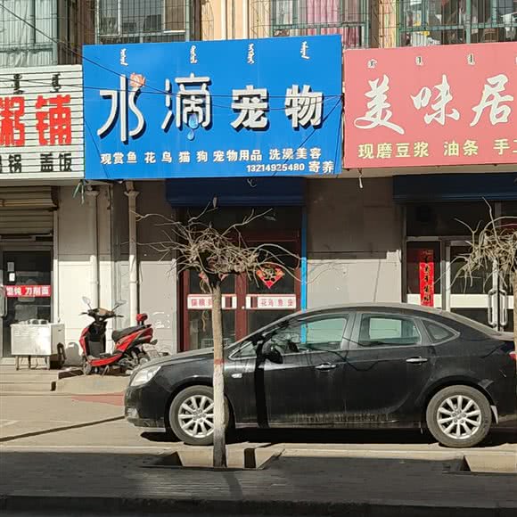 水滴宠物:包头市青山区民主路附近