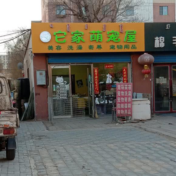 它家萌宠屋:包头市青山区民主路附近
