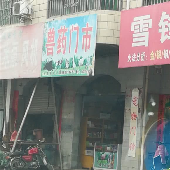兽医门市宠物门诊:洛阳市洛宁县