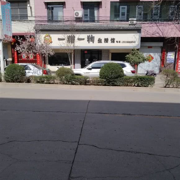 一猫一狗生活馆:洛阳市伊川县