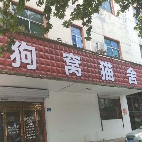 狗窝猫舍:洛阳市伊川县