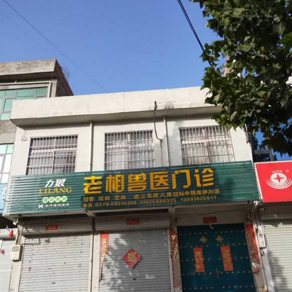 老相兽医门诊(伊川店):洛阳市伊川县