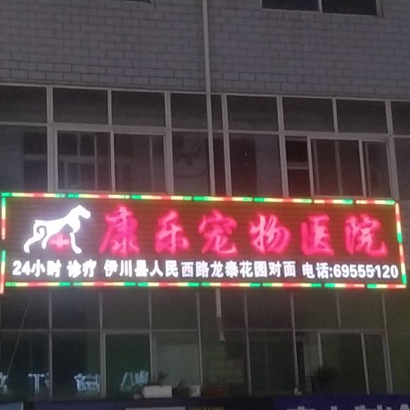 康乐宠物医院(人民东路):洛阳市伊川县
