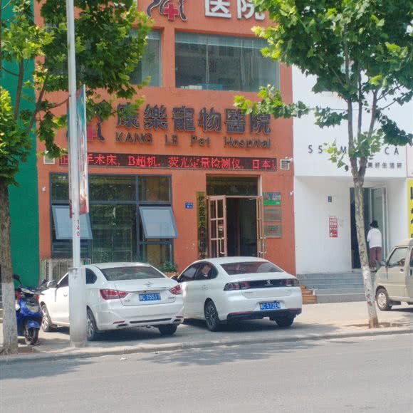 康乐宠物医院:洛阳市伊川县