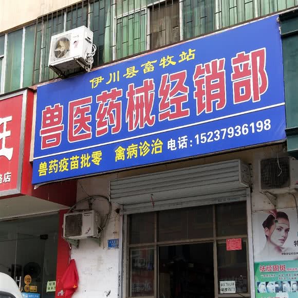 伊川县畜牧站兽医药械经销部:洛阳市伊川县