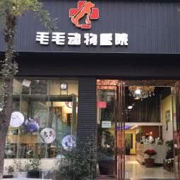 毛毛动物医院:洛阳市伊川县