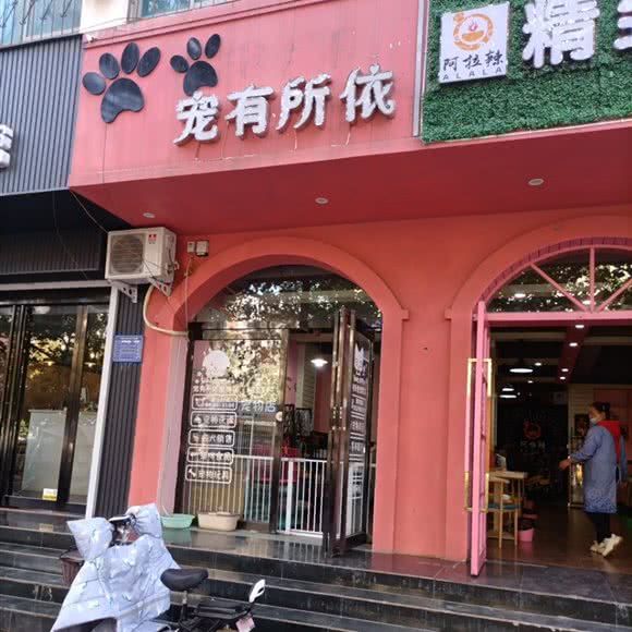 宠有所依:洛阳市偃师区