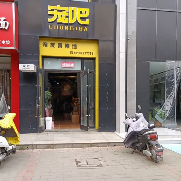 宠吧:洛阳市偃师区