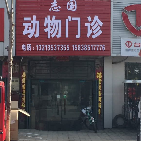 志国动物门诊:洛阳市偃师区