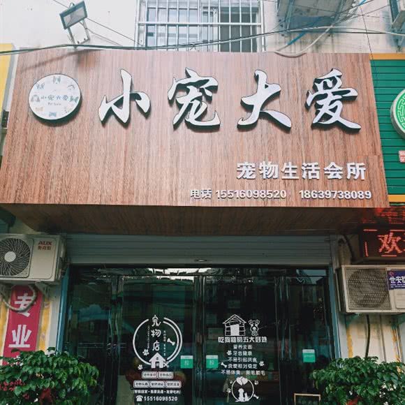 小宠大爱宠物店:平顶山市卫东区