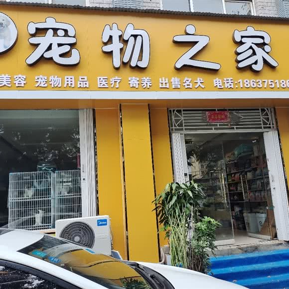宠物之家:平顶山市宝丰县